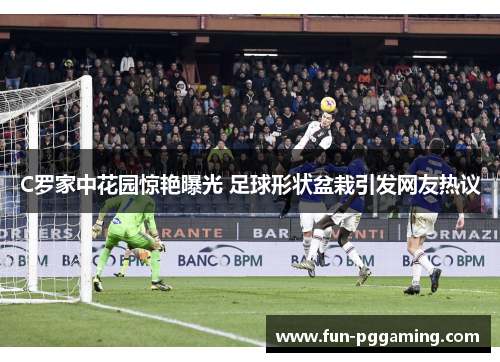 C罗家中花园惊艳曝光 足球形状盆栽引发网友热议 C罗家中花园惊艳曝光 足球形状盆栽引发网友热议