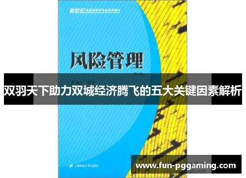 双羽天下助力双城经济腾飞的五大关键因素解析 双羽天下助力双城经济腾飞的五大关键因素解析