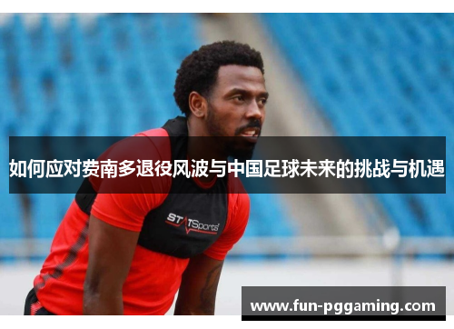 如何应对费南多退役风波与中国足球未来的挑战与机遇 如何应对费南多退役风波与中国足球未来的挑战与机遇