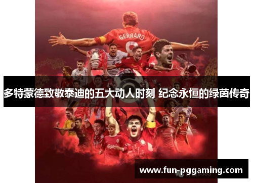 多特蒙德致敬泰迪的五大动人时刻 纪念永恒的绿茵传奇 多特蒙德致敬泰迪的五大动人时刻 纪念永恒的绿茵传奇