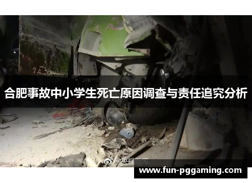 合肥事故中小学生死亡原因调查与责任追究分析 合肥事故中小学生死亡原因调查与责任追究分析