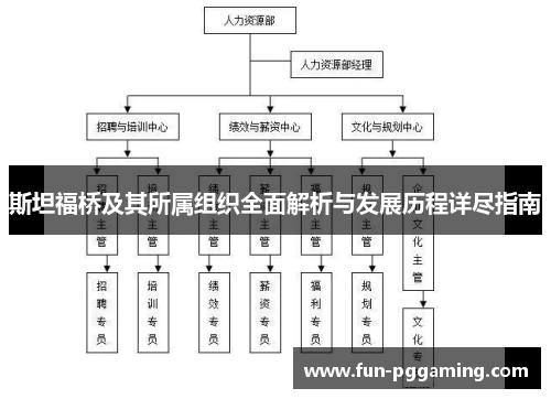 斯坦福桥及其所属组织全面解析与发展历程详尽指南 斯坦福桥及其所属组织全面解析与发展历程详尽指南