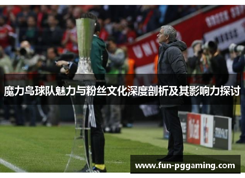 魔力鸟球队魅力与粉丝文化深度剖析及其影响力探讨