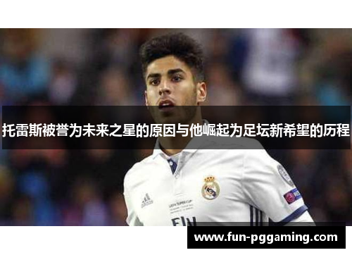 托雷斯被誉为未来之星的原因与他崛起为足坛新希望的历程 托雷斯被誉为未来之星的原因与他崛起为足坛新希望的历程